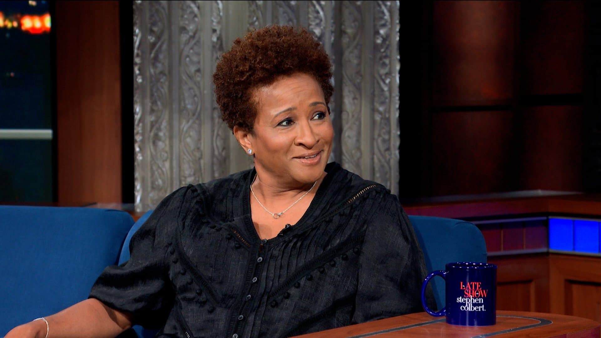 Wanda Sykes, Ronan Farrow