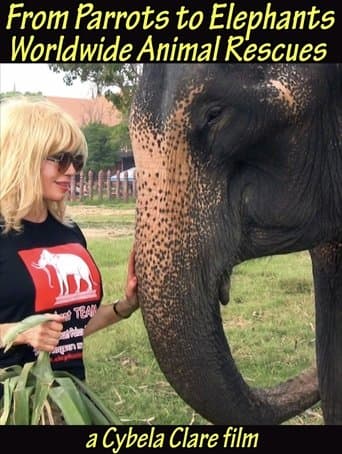 From Parrots to Elephants: Worldwide Animal Rescues
