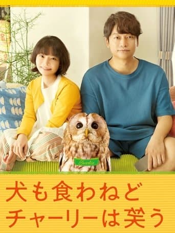 Everything Will Be Owlright!