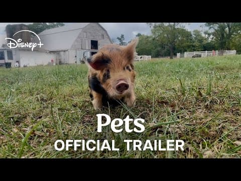 Pets Trailer